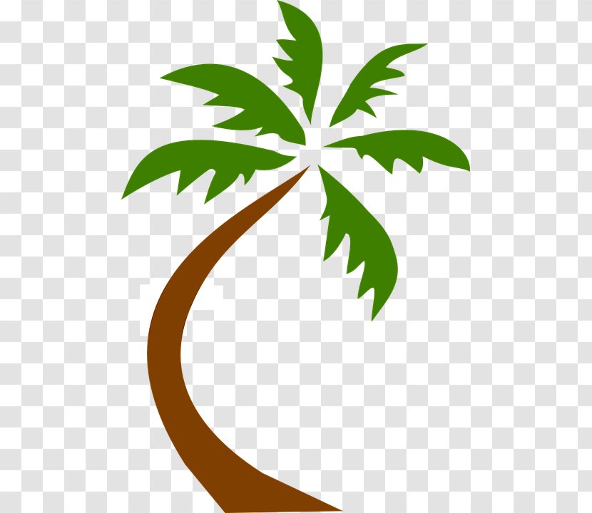 Palm Trees Clip Art Image Coconut - Leaves Transparent PNG