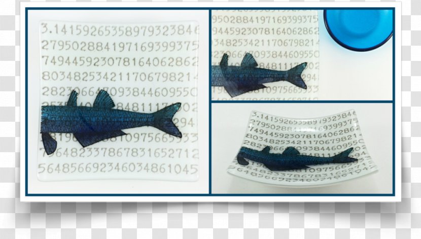 Fish Animal Pattern - Fishplate - Plate Transparent PNG