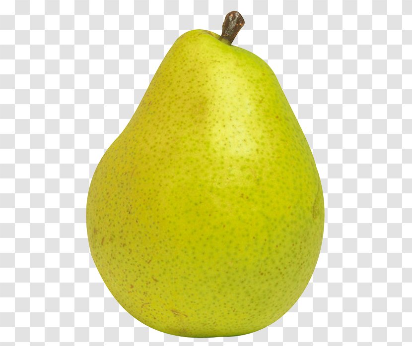 Pear Fruit Clip Art - Apple - Icon Download Transparent PNG