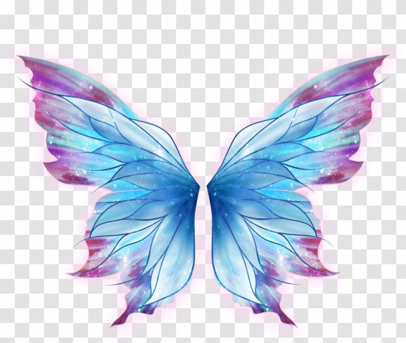 Butterfly Drawing Art - Ali Transparent PNG