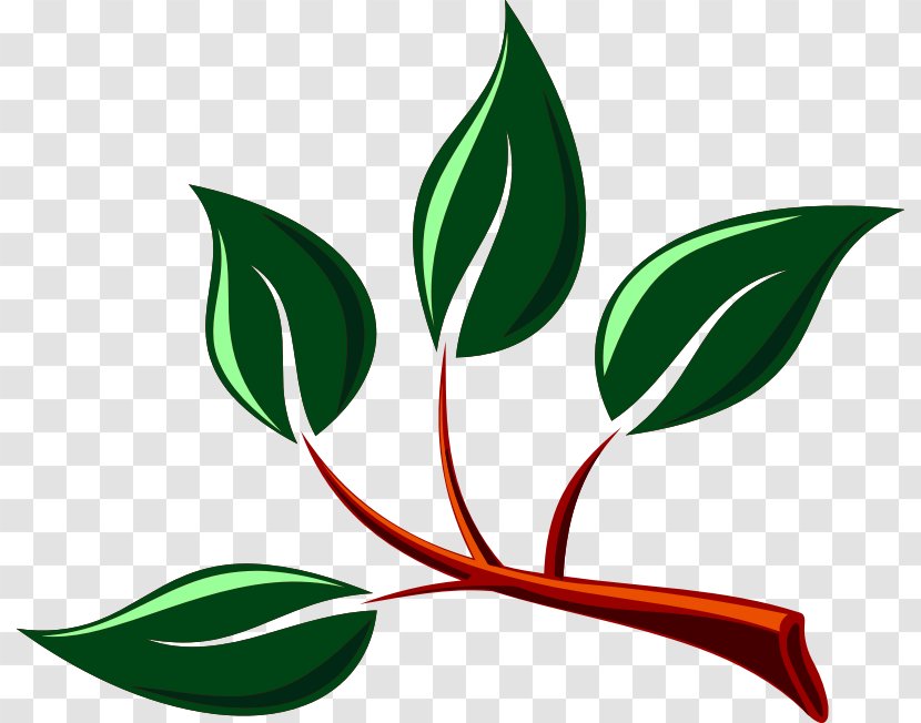 Branch Clip Art Tree Leaf Image - Flowering Dogwood Transparent PNG
