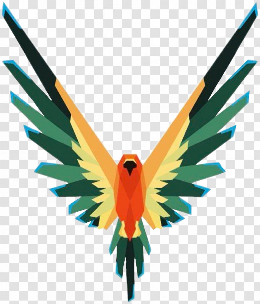 Logo Image YouTube Drawing T-shirt - Tshirt - Bird Of Paradise Transparent PNG