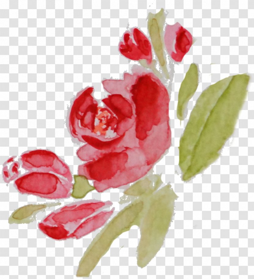 Flower Watercolor Painting Photography Drawing - Film - Rose Transparent PNG