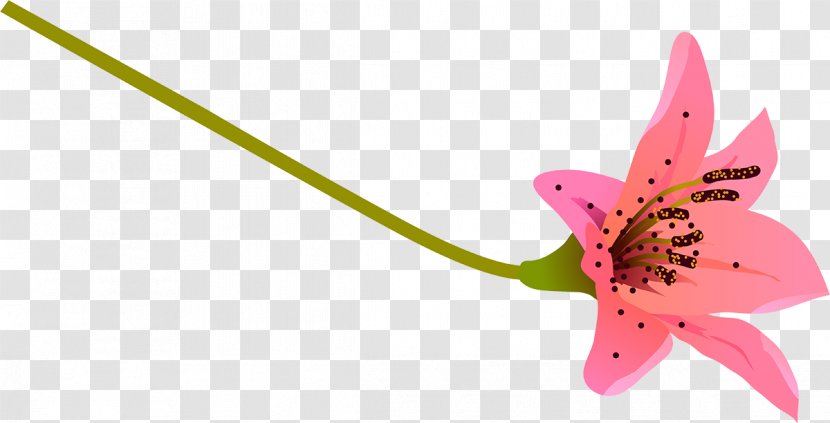 Butterfly Pink M Flowering Plant Stem - Moths And Butterflies Transparent PNG