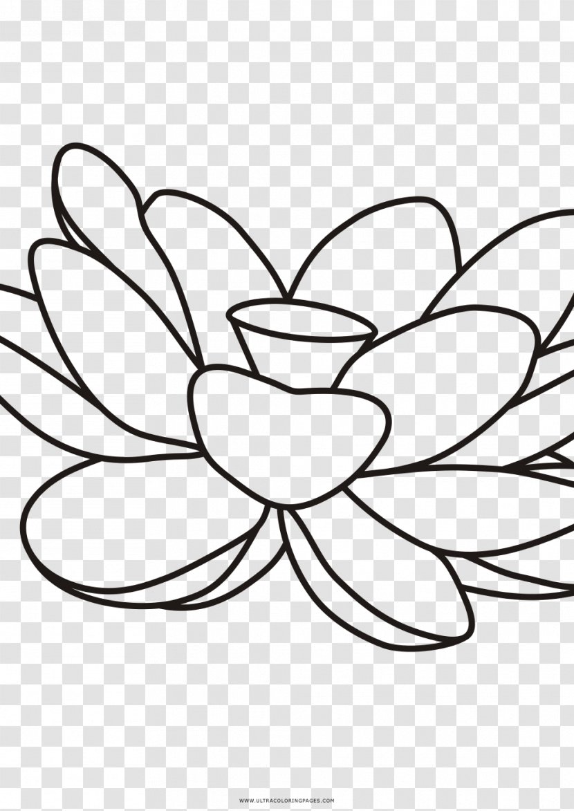 Mayo College Girls School Ripon Symmetry Food AdChoices - Flora - Good Morning Lotus Flower Transparent PNG