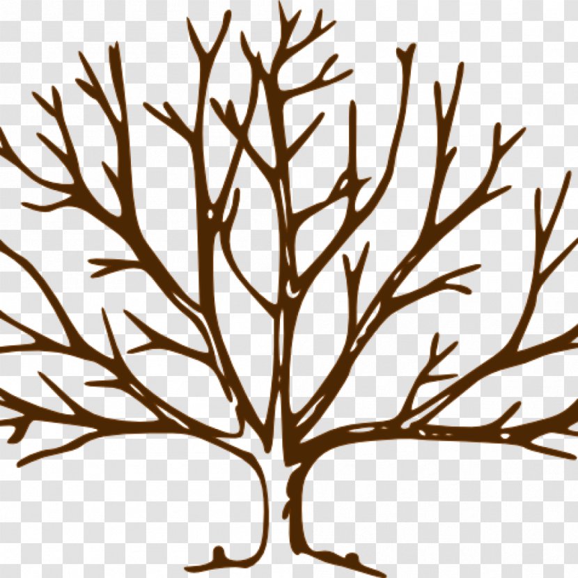 Clip Art Fall Tree Trunk Branch - Plant Transparent PNG