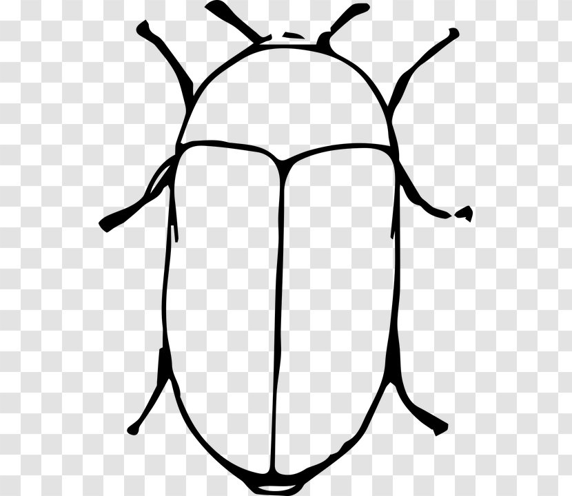 Beetle Ant Image Cartoon Vector Graphics - Symmetry - Colouring Hitam Putih Transparent PNG