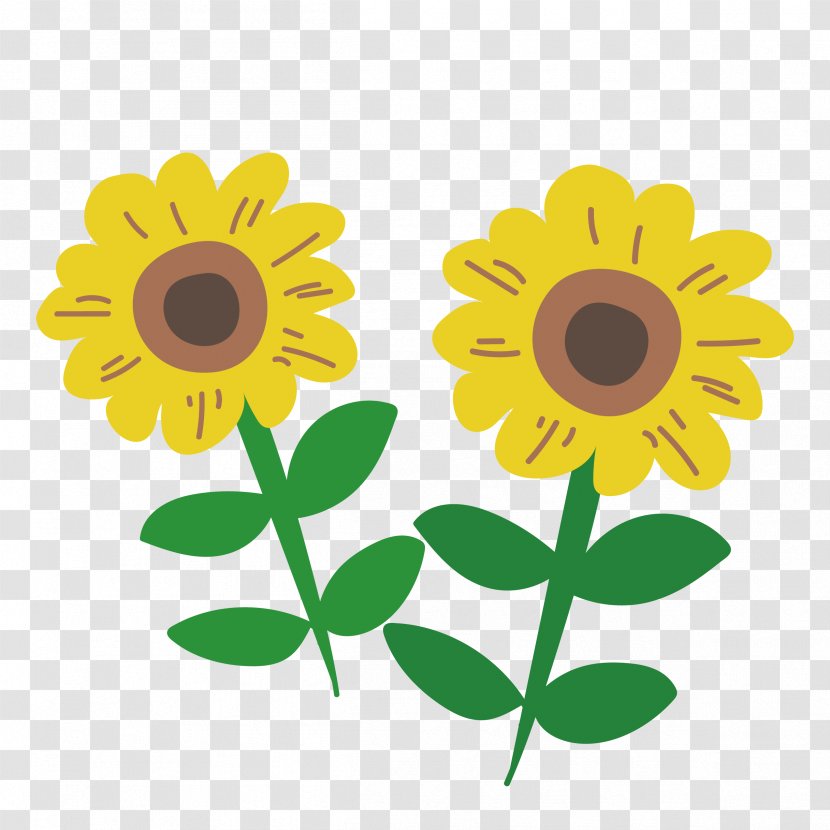 Common Sunflower Floral Design - Petal - Flower Transparent PNG