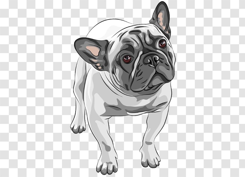 French Bulldog American Bullenbeisser Pug - Puppy Clipart Transparent PNG