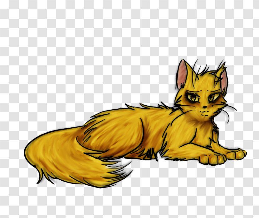 Whiskers Kitten Tabby Cat Red Fox - Paw Transparent PNG