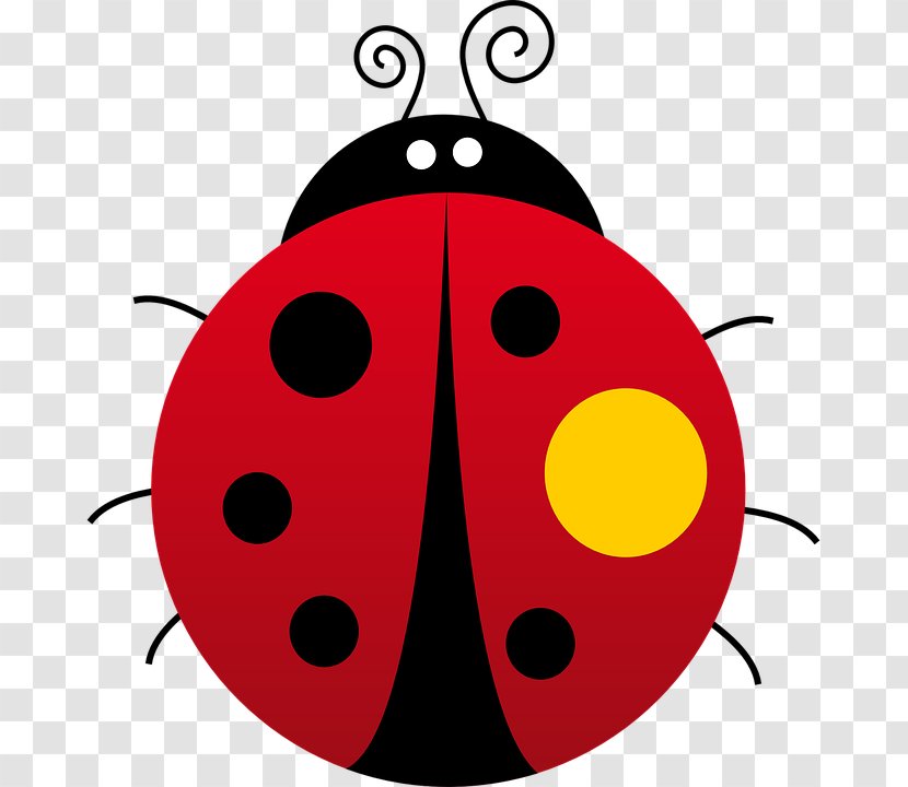 Ladybird Beetle Clip Art Image Download - Artwork Transparent PNG