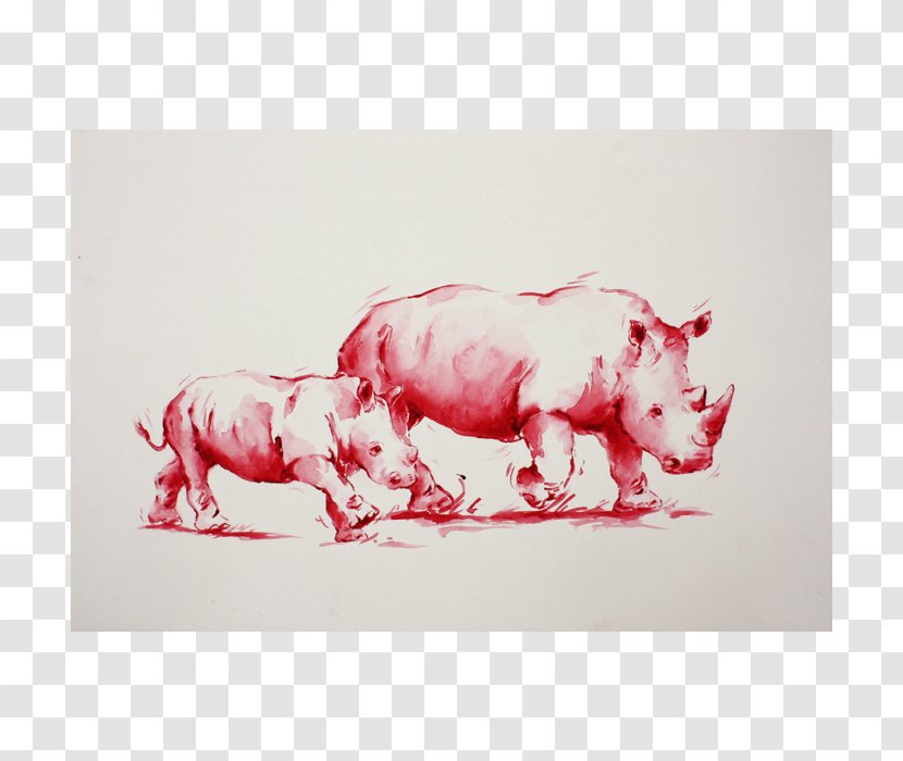 Pig Cattle Drawing /m/02csf Snout - Mammal Transparent PNG