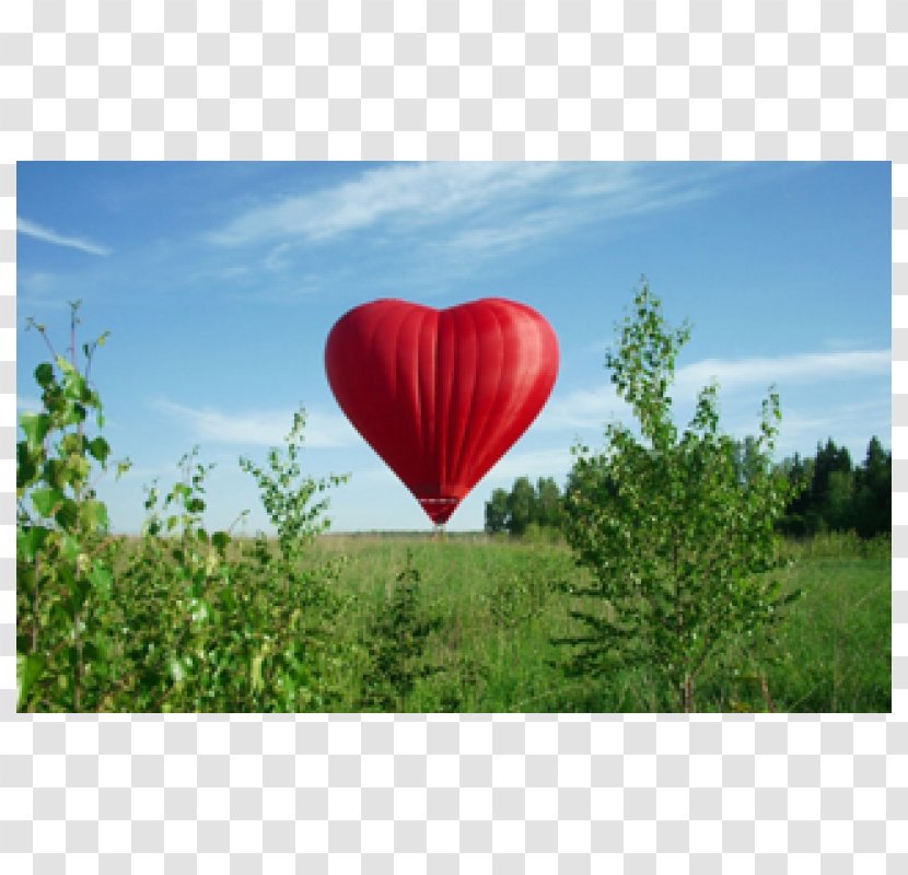 Flight Hot Air Ballooning Aerostat - Meadow - Balloon Transparent PNG