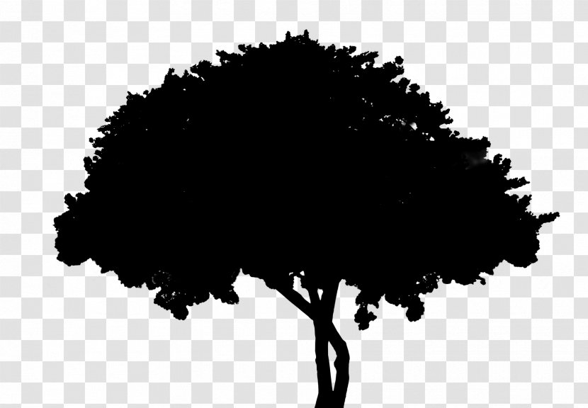 Tree Silhouette Font Leaf Sky - Black Transparent PNG