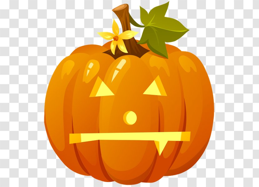 Jack-o'-lantern Pumpkin Halloween Drawing - Orange Transparent PNG