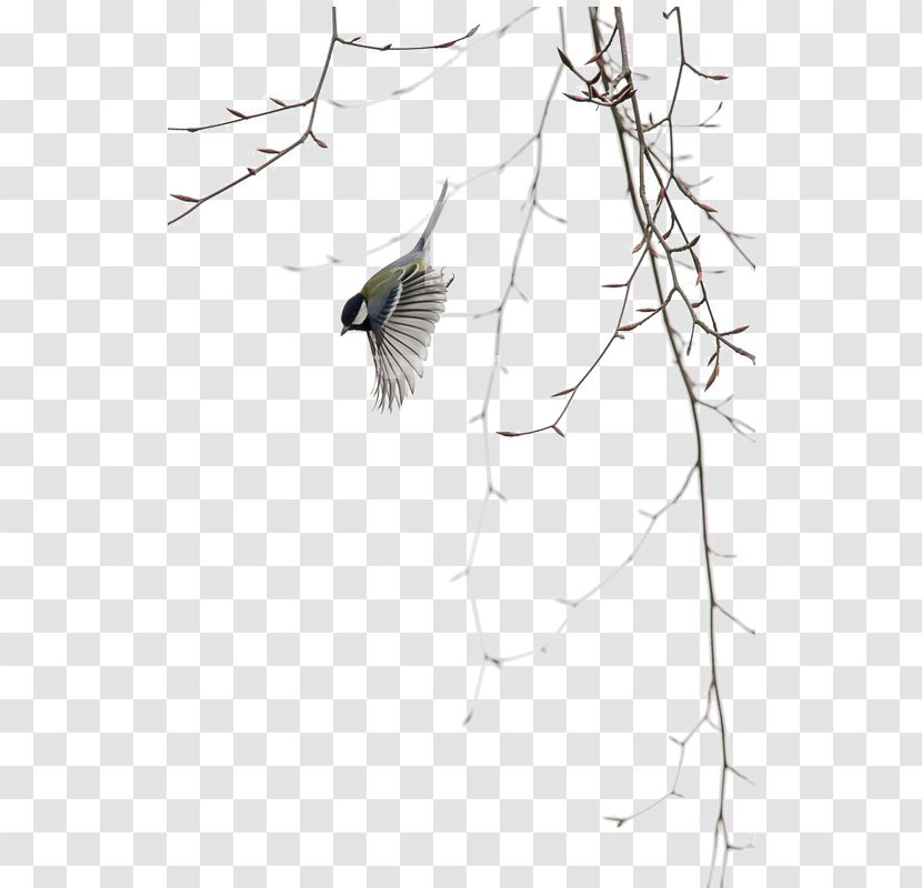 Chongan Residential District Namur Ci Paper Art - Frame - Xiang Bird Fall Transparent PNG