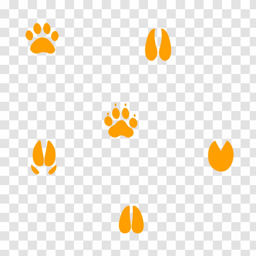 Cougar Gray Wolf Coyote Lion Animal Track Transparent PNG