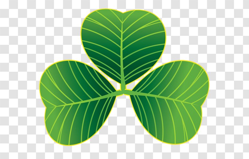 Saint Patrick's Day Shamrock Clover Clip Art - Leaf - ST PATRICKS DAY Transparent PNG