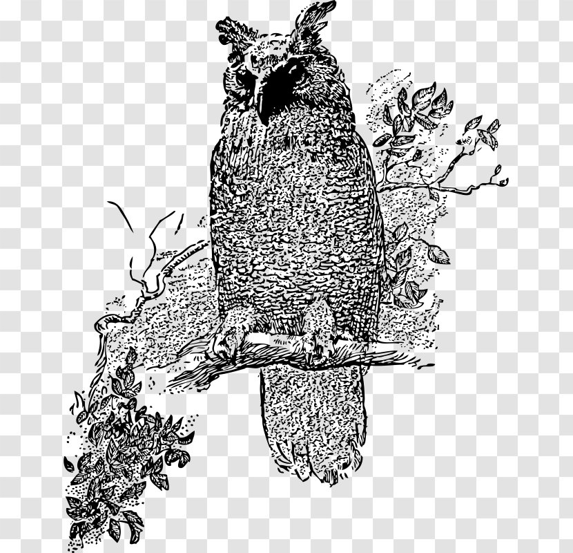 Great Horned Owl Bird Barred Clip Art - Visual Arts Transparent PNG