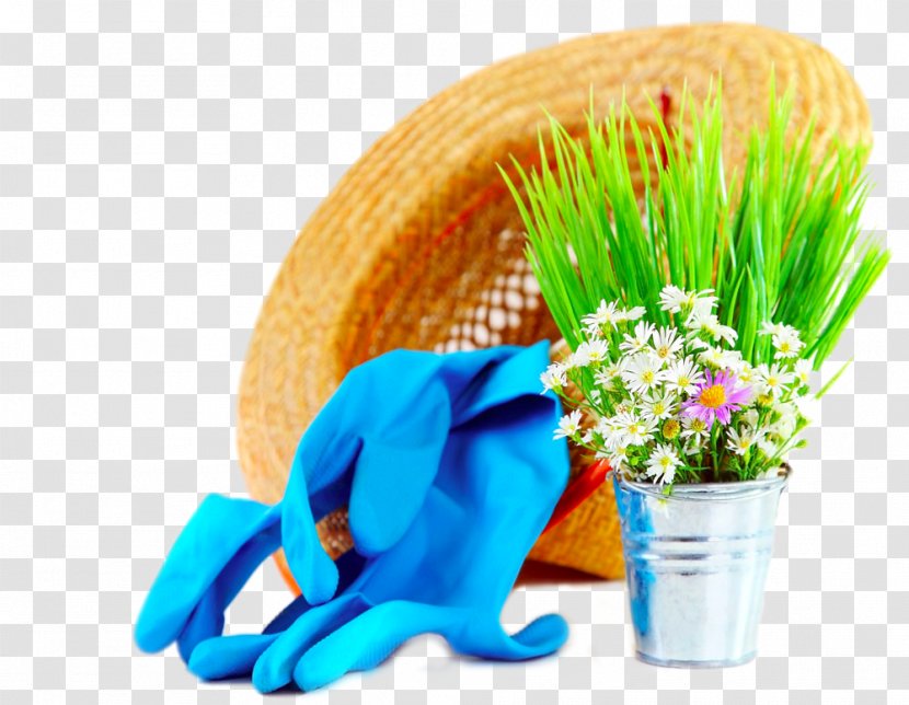 Garden Tool Glove Cut Flowers Flowerpot - Stock Photography - Household Items Gloves Transparent PNG