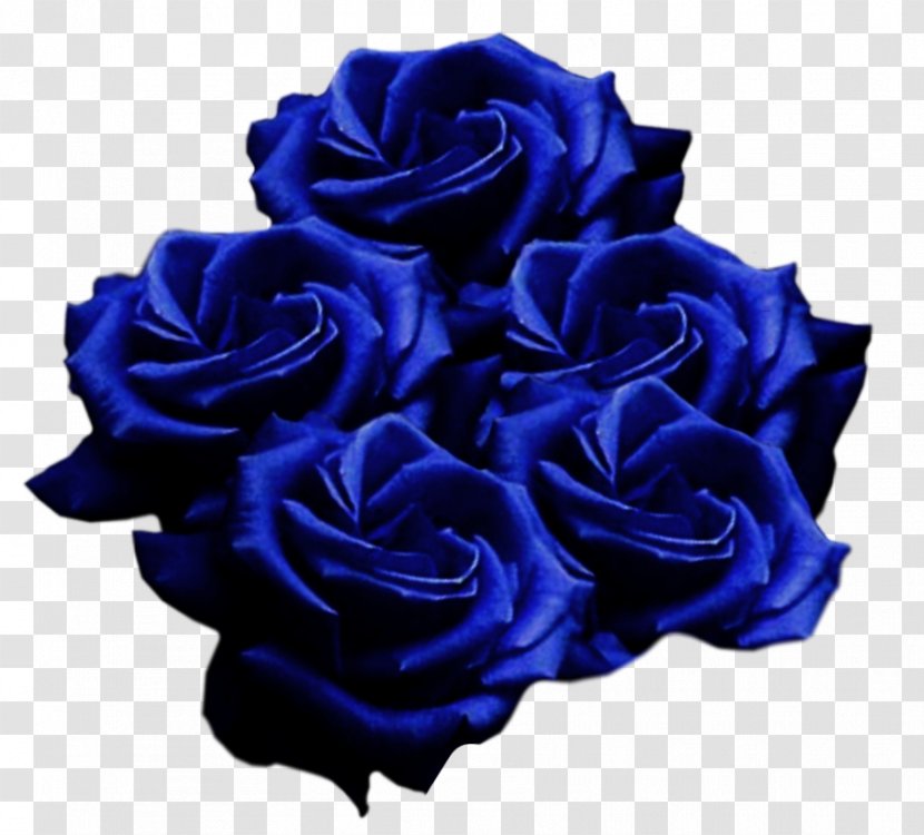 Garden Roses Blue Rose Cut Flowers - A Transparent PNG