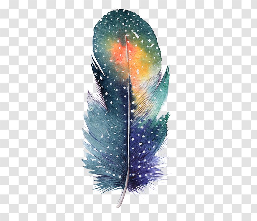 Feather Bird Drawing Color Painting - Photography Transparent PNG