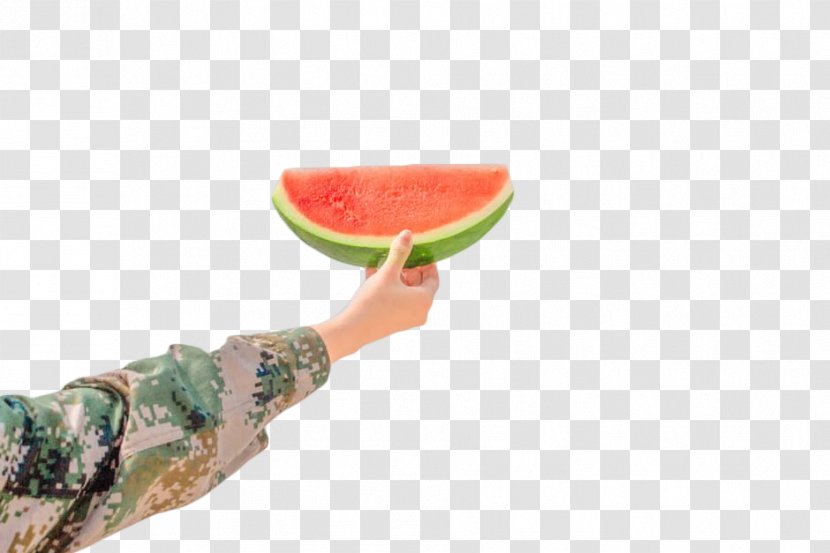 Watermelon Healthy Diet Food Eating - Cantaloupe - A Slice Of Transparent PNG