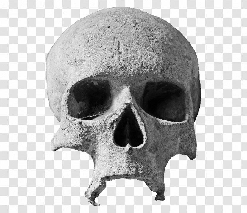 Skull Drawing Church - Skulls Transparent PNG