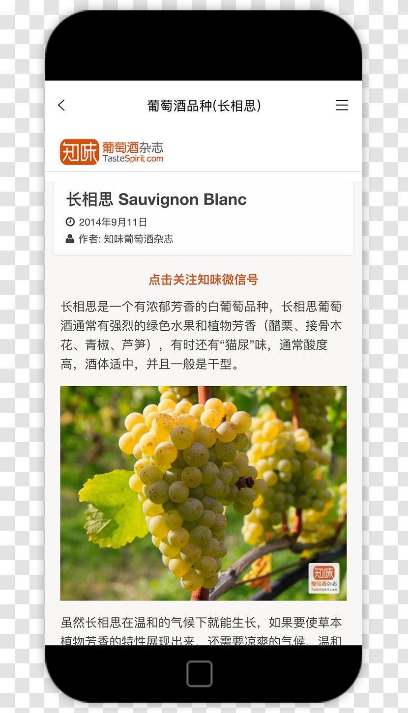 Zixia Sun Wukong Pak Jing-Jing Journey To The West Macro-objectief - Food - Wine Tree Transparent PNG