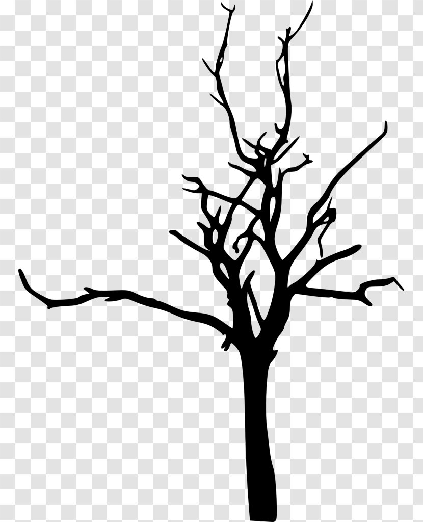 Clip Art Silhouette Tree Image - Drawing - Birch Sketch Transparent PNG