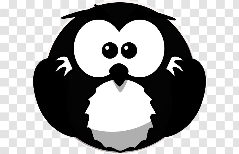 Owl Bird Cartoon Clip Art Drawing Transparent PNG