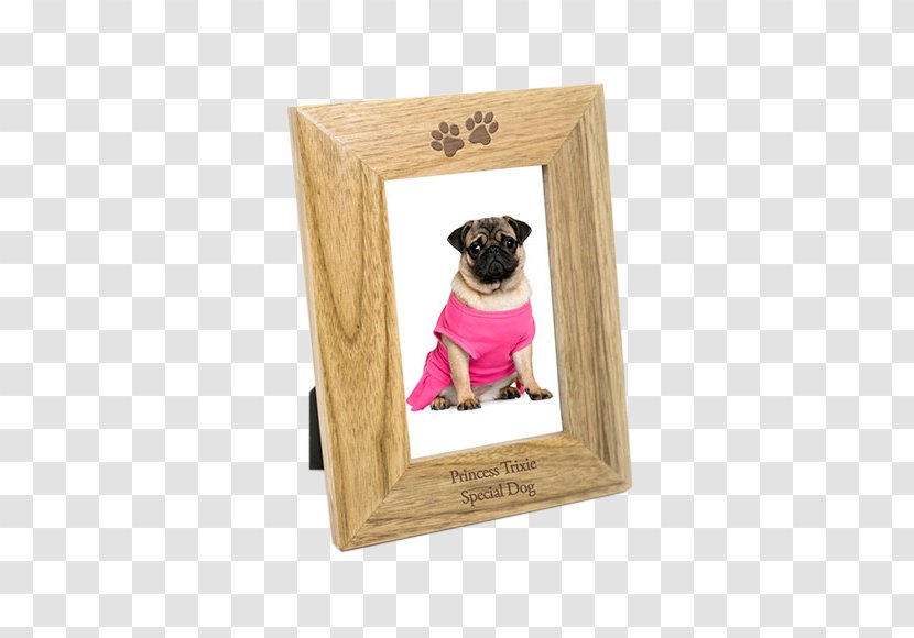 Pug Puppy Love Picture Frames Breed - Dog Transparent PNG