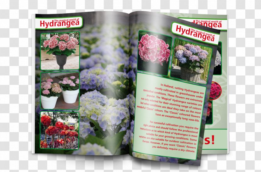 Brochure Inzet Table Annual Report - Advertising - Hydrangea Transparent PNG