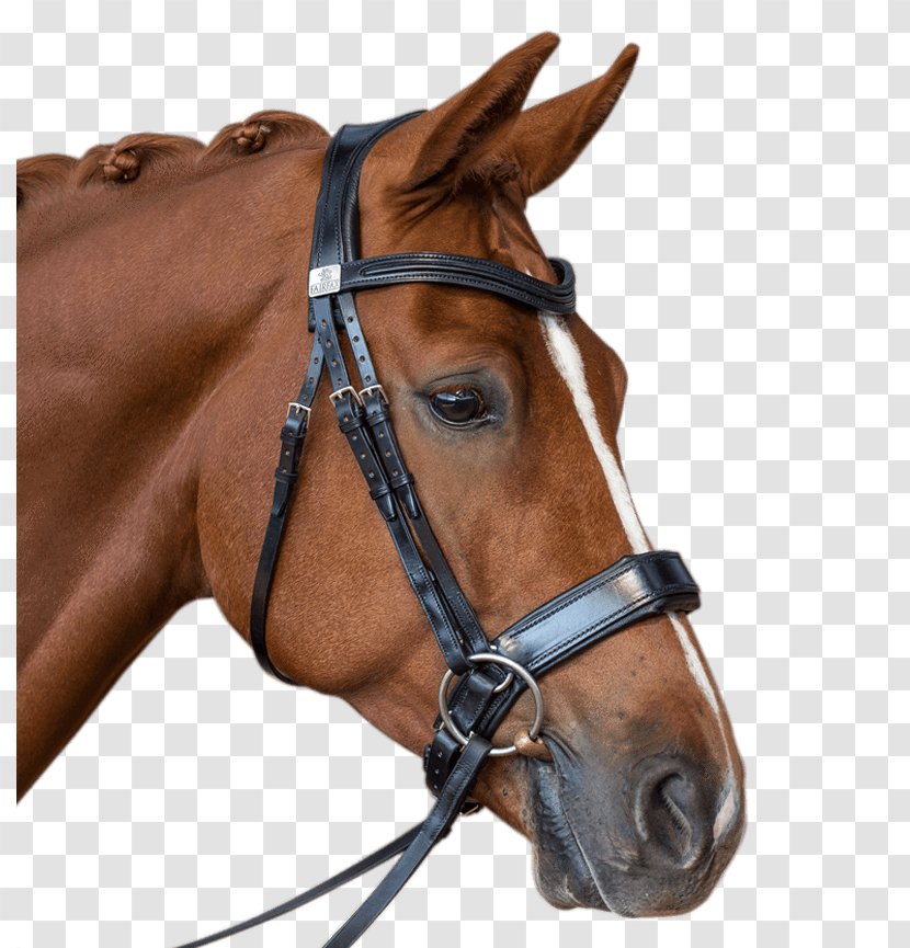 Horse Bridle Halter Equestrian Bit - English Riding Transparent PNG