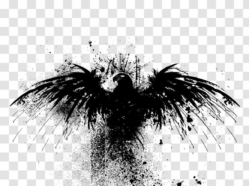 Black And White Bird Wallpaper - Drawing - Phoenix Transparent PNG