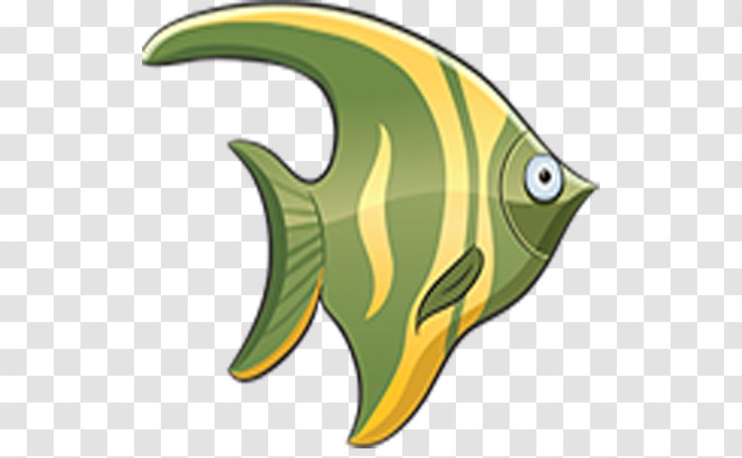 Fish Drawing Fin - Aquatic Animal Transparent PNG