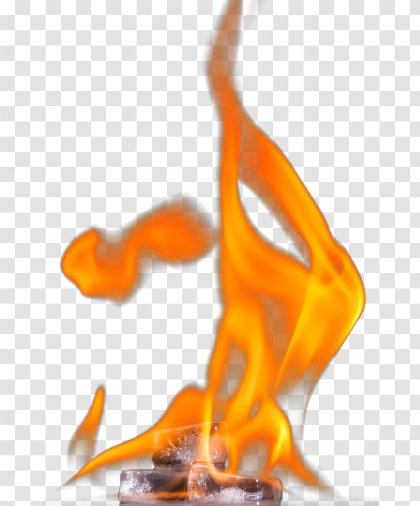 Flame Organism - The Burning On Ice Transparent PNG