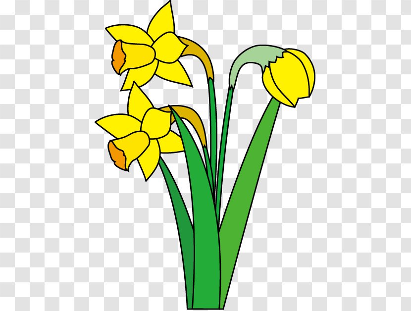 Clip Art Illustration Daffodil Flower Image - Flora - Flowering Plant Transparent PNG