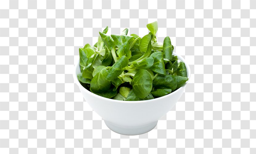 Romaine Lettuce Spring Greens Spinach Herb Leaf Vegetable - Salad - Panini Burger Transparent PNG