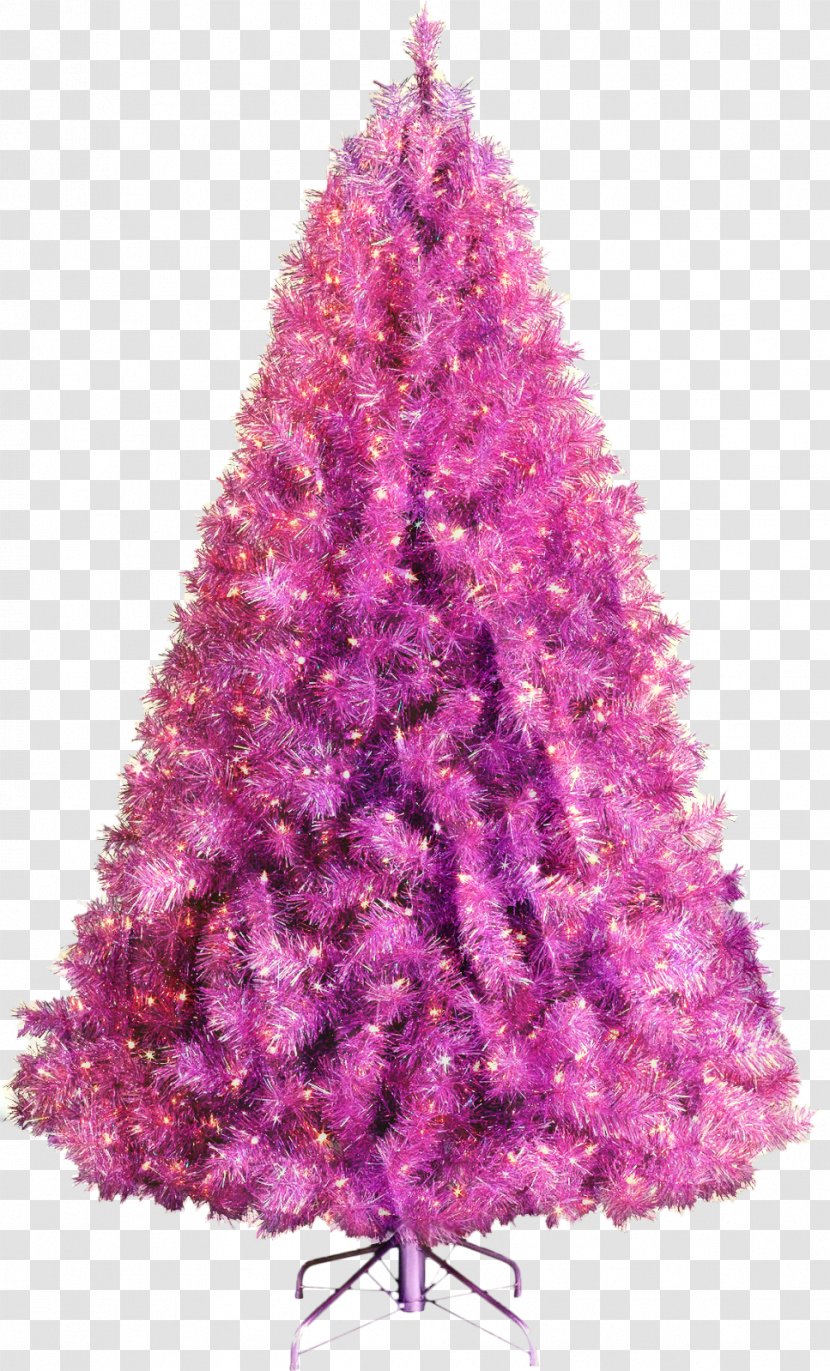 Christmas Tree Red - Purple - Pine American Larch Transparent PNG