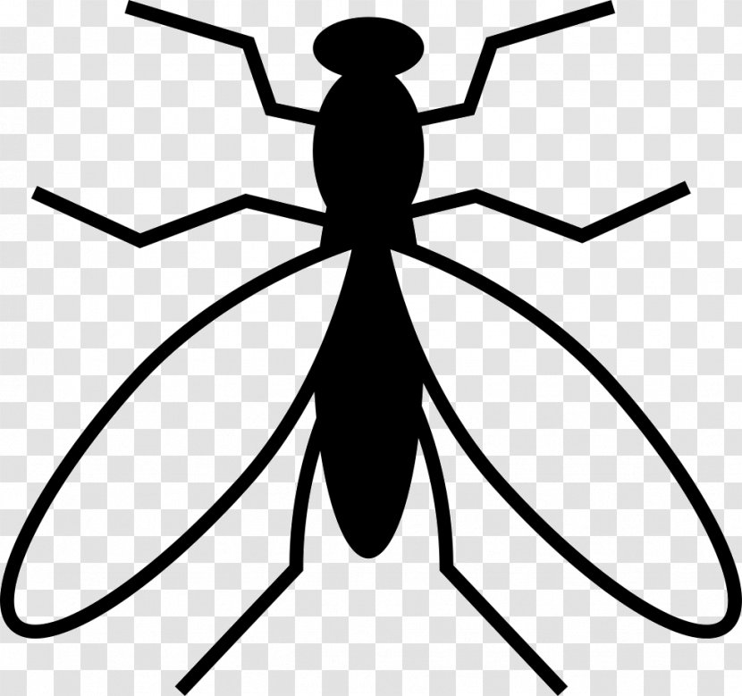 Illustration - Vector Packs - Mosquitos Symbol Transparent PNG
