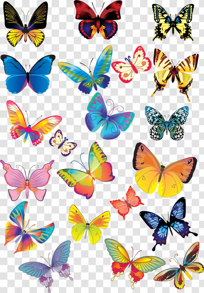 Butterfly Clip Art - Monarch - Beautiful Transparent PNG