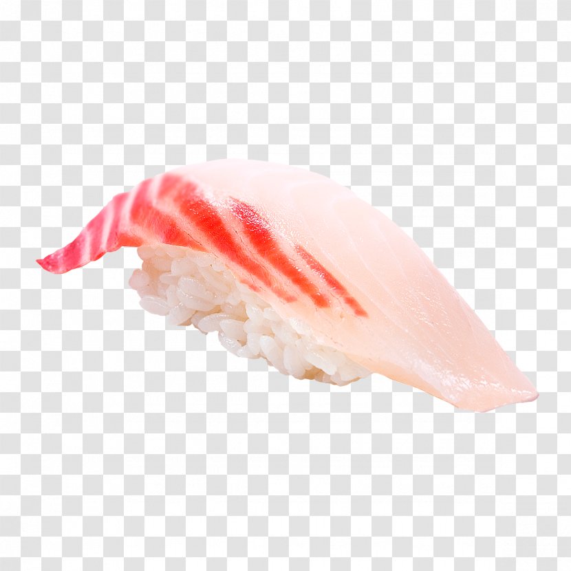 Sushi Tamagoyaki Thunnus Makizushi Unagi - Grilling - Squid Transparent PNG