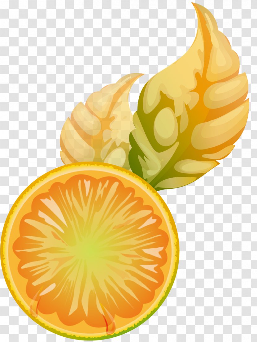 Juice Lemon Euclidean Vector - Vegetarian Food - Cartoon Transparent PNG
