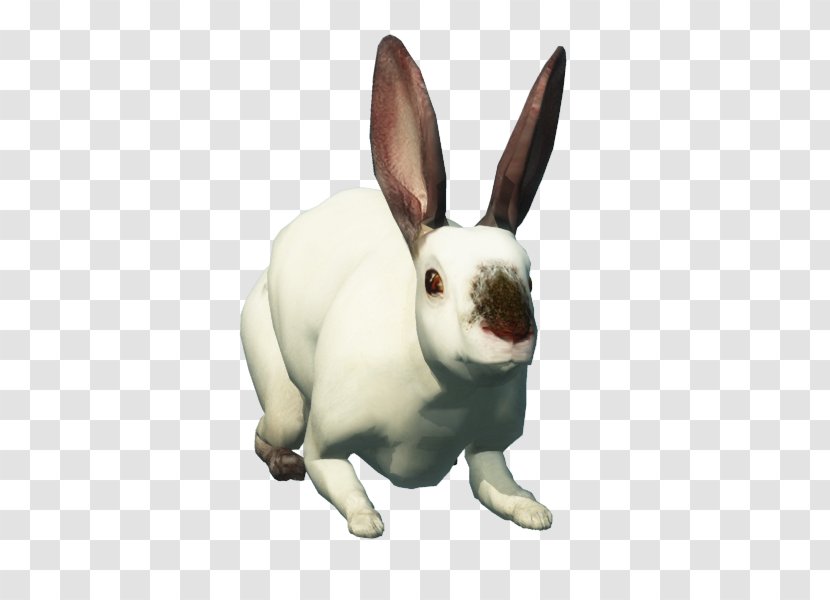Hare Domestic Rabbit Easter Bunny Pet - Sand Monster Transparent PNG