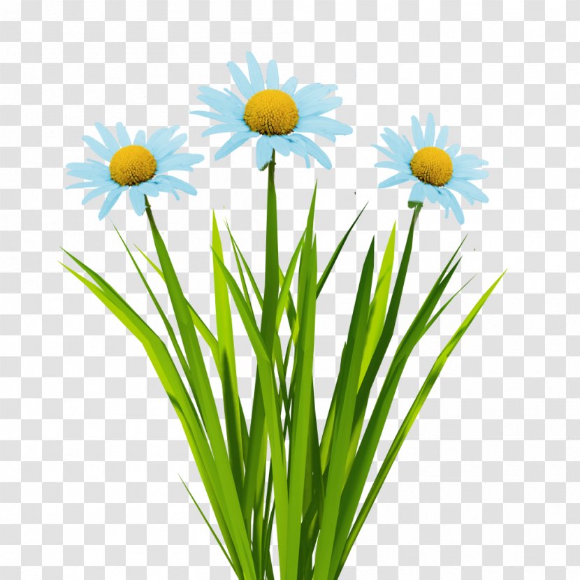 Texture Mapping Flower 3D Computer Graphics Animation - 3d - Blue Flowers Transparent PNG