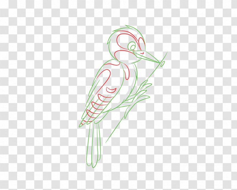 Drawing /m/02csf Illustration Beak Feather - Woodpecker Transparent PNG