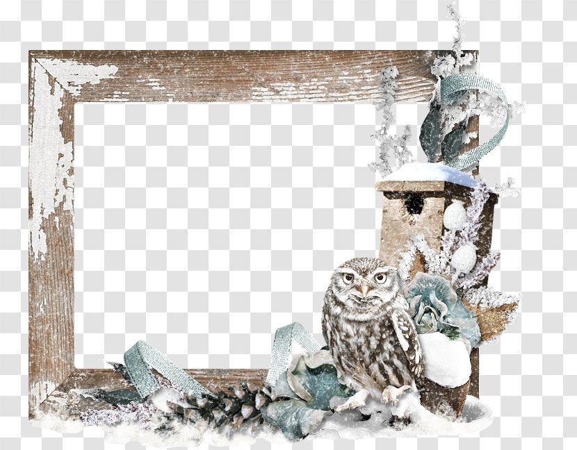Owl Picture Frames - Frame Transparent PNG