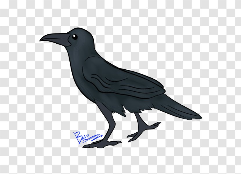 American Crow New Caledonian Common Raven Fauna - Flower - I Am Transparent PNG