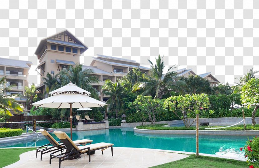 Hotel Swimming Pool Resort Inn - Lake - Outdoor Recreation Area Transparent PNG
